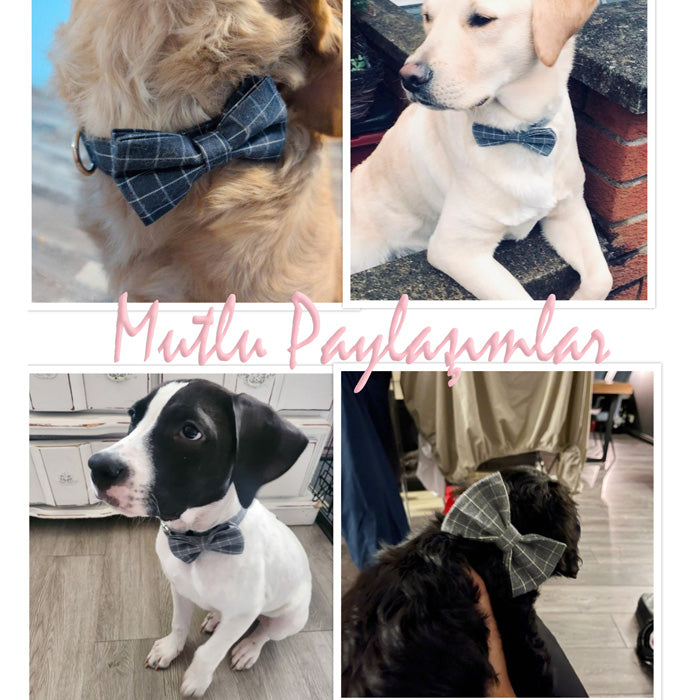 Köpek Boyun Tasması İsimli Pamuklu Ekose Gri 636176