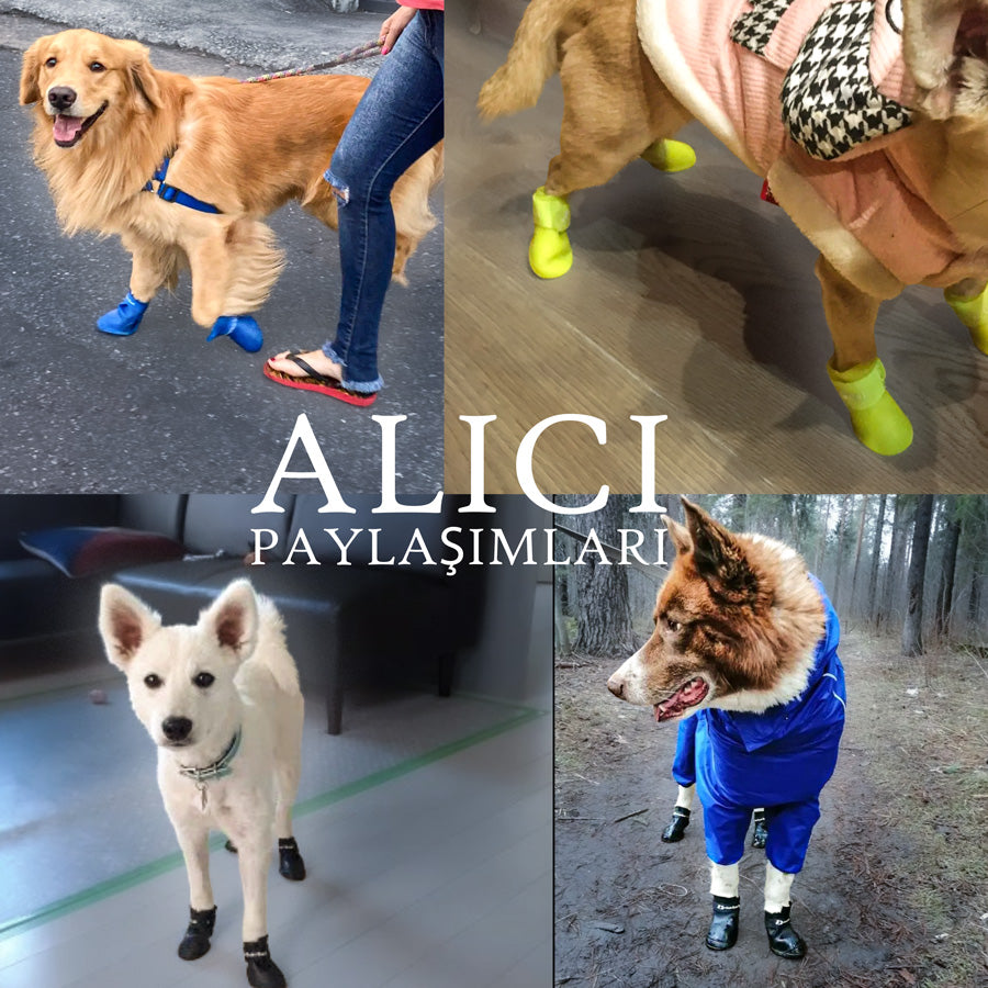 Köpek Ayakkabısı 31022247