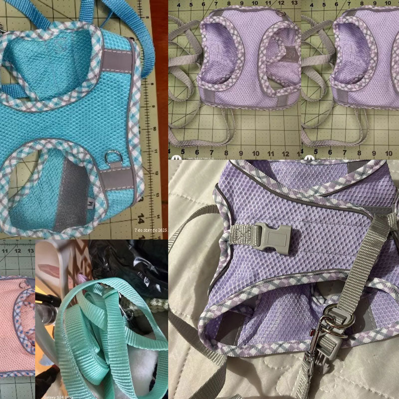 Köpek Göğüs Tasması ve Gezdirme Kayışı Seti 89194