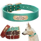 Deri köpek tasması 37942212