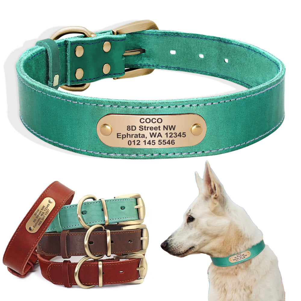 Deri köpek tasması 37942212