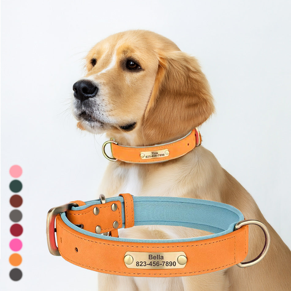 Köpek Tasması İsimli Deri Tasma 377912