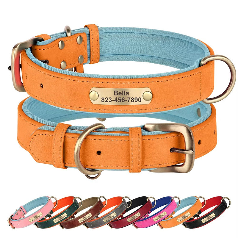 Köpek Tasması İsimli Deri Tasma 377912