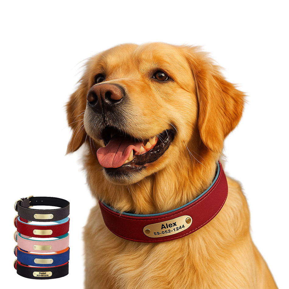 Köpek Tasması Yastıklı isimli Deri Tasma 806672