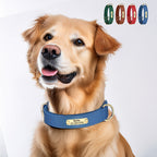 Köpek Tasması Yastıklı İsimli Deri Tasma 614392