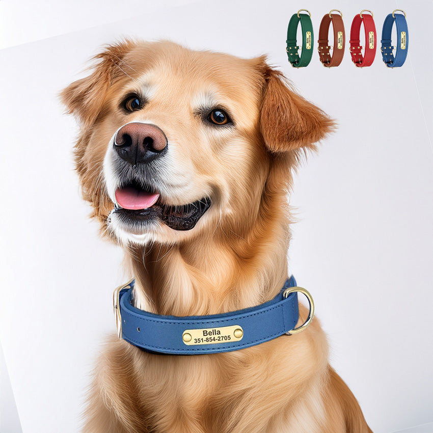 Köpek Tasması Yastıklı İsimli Deri Tasma 614392