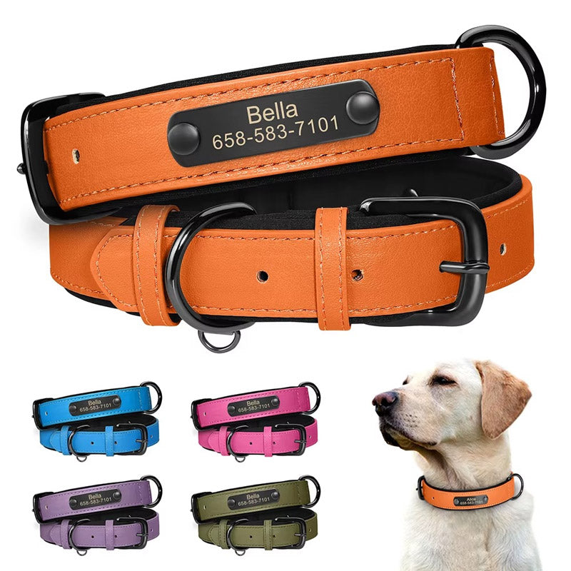 İsimli Deri Köpek Tasması 80341
