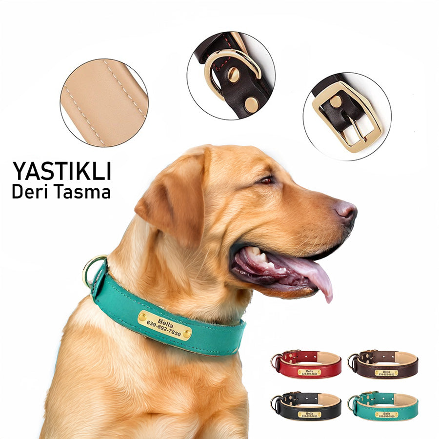 Köpek Tasması isimli Deri Tasma 72604