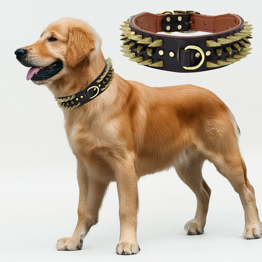Dikenli Tasma Çivili Köpek Tasması 47063039