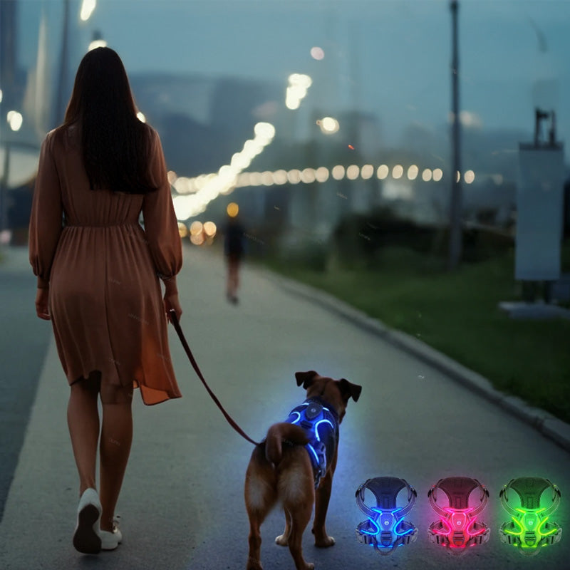 Köpek Göğüs Tasması LED Aydınlatmalı 66652