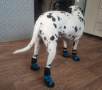 Köpek Ayakkabısı Reflective 9782729