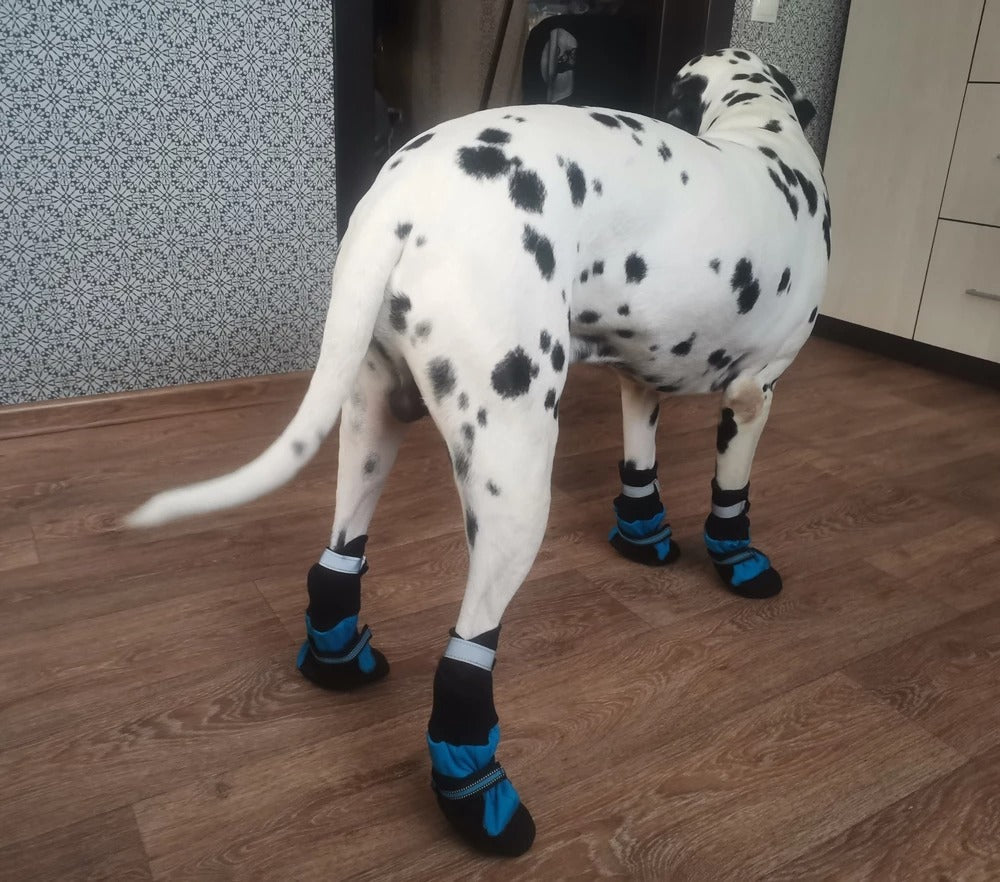 Köpek Ayakkabısı Reflective 9782729