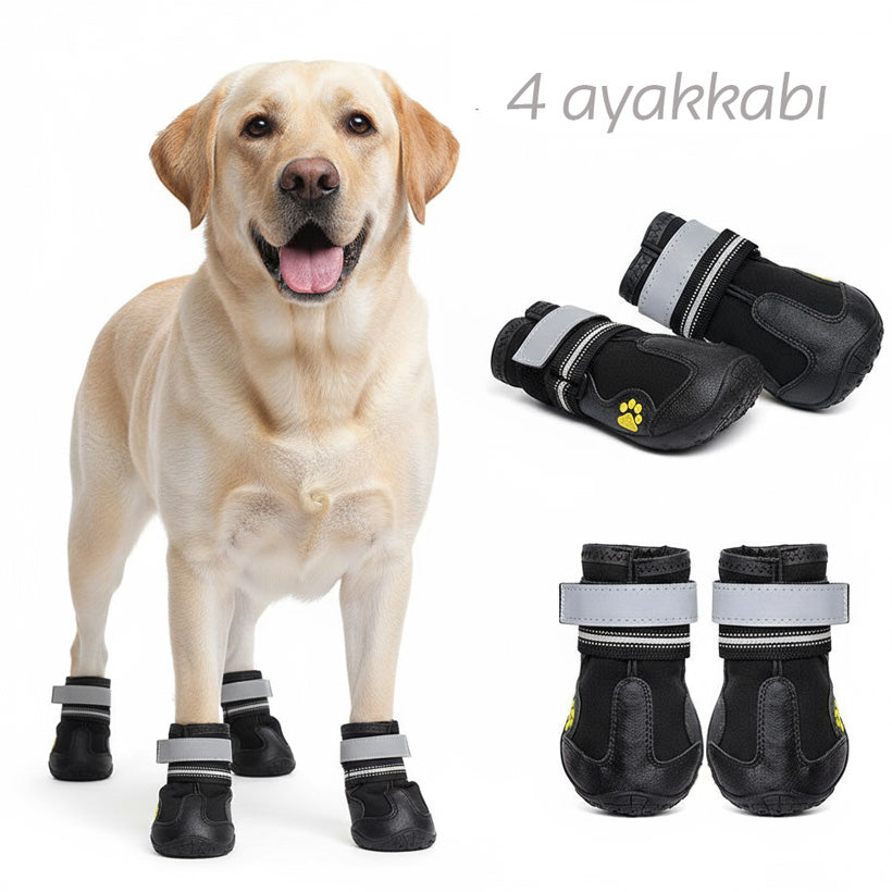 Köpek Ayakkabısı Reflective 19066387