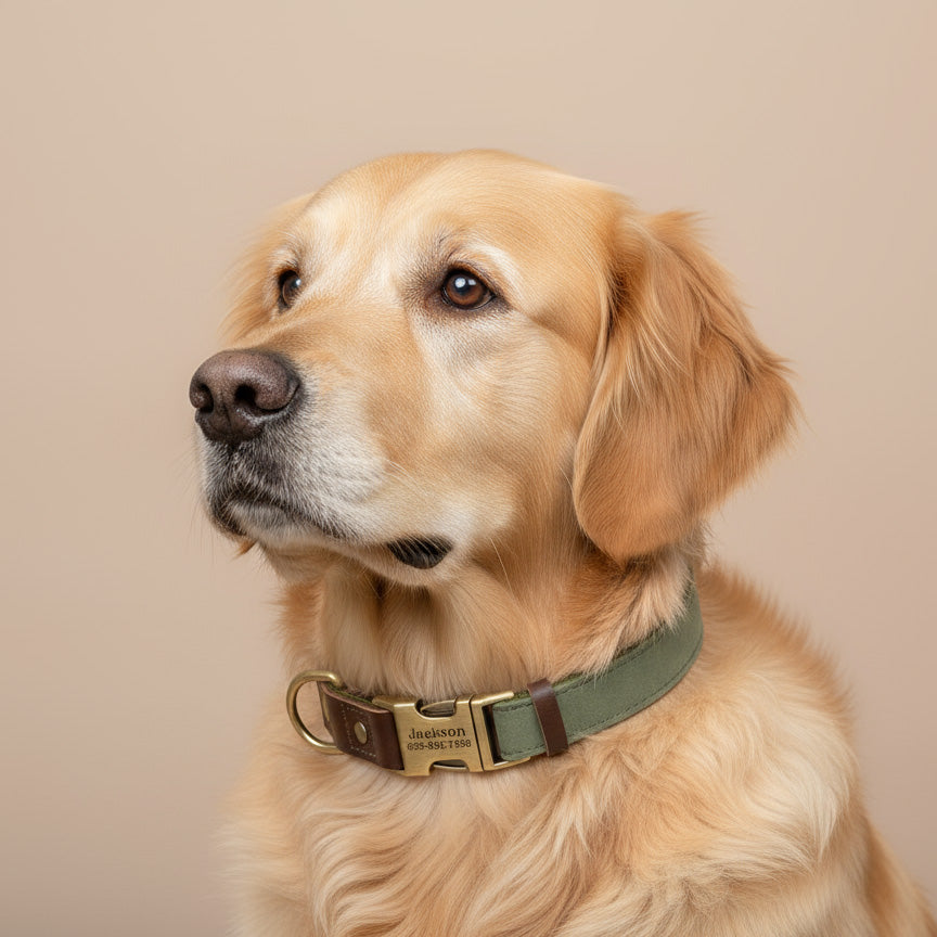 Köpek Tasması  İsimli Boyun Tasma 049141
