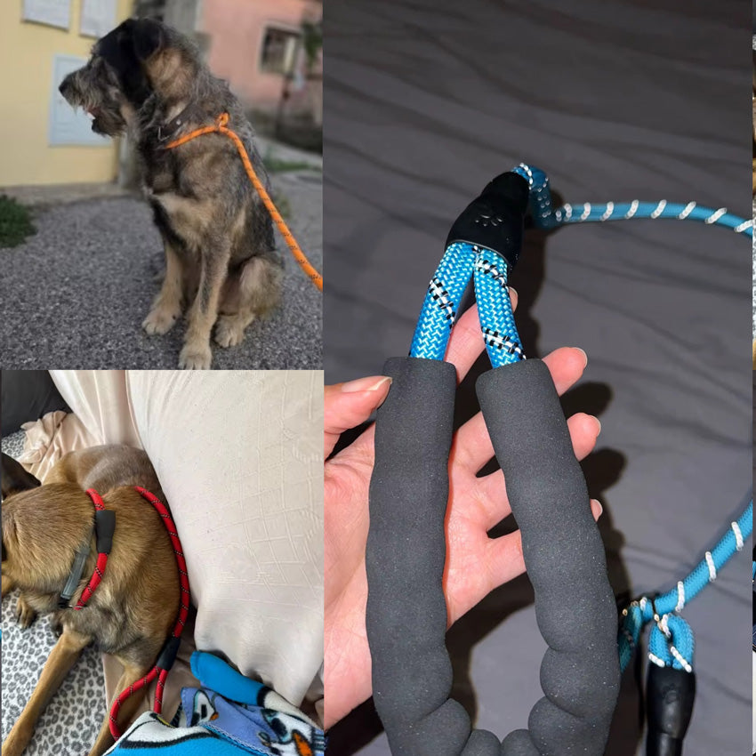 Reflektörlü Köpek Gezdirme Kayışı 03422