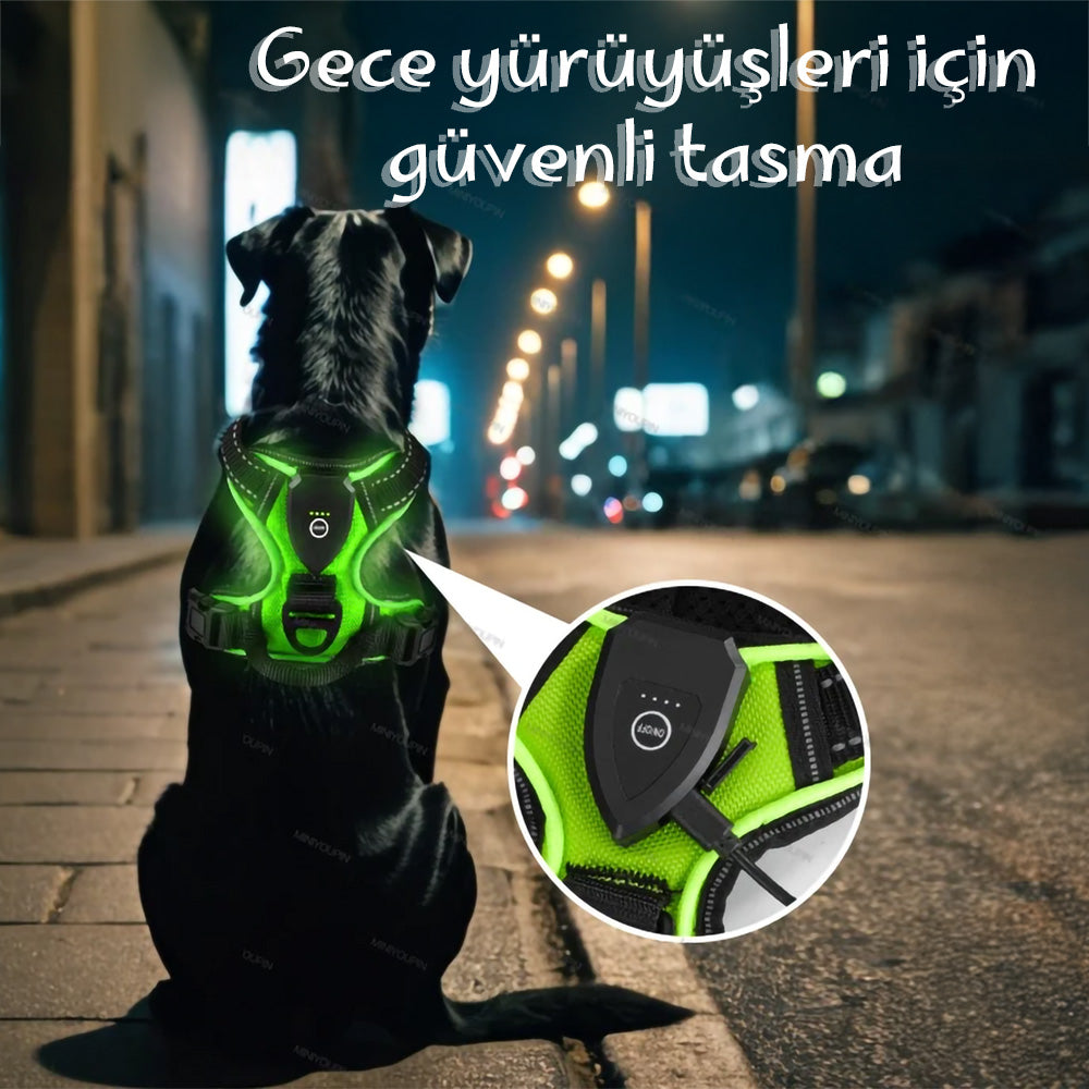 Köpek Göğüs Tasması LED Aydınlatmalı 66652