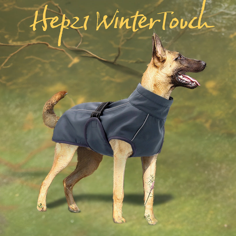 Köpek yağmurluk KOLAY GİYİLİR  41016631