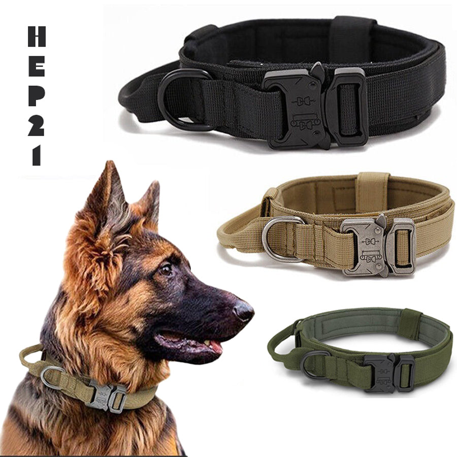 Pitbull tasması Tactical 29789052