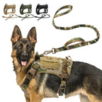 Köpek göğüs tasması kayış Set Tactical 39810022