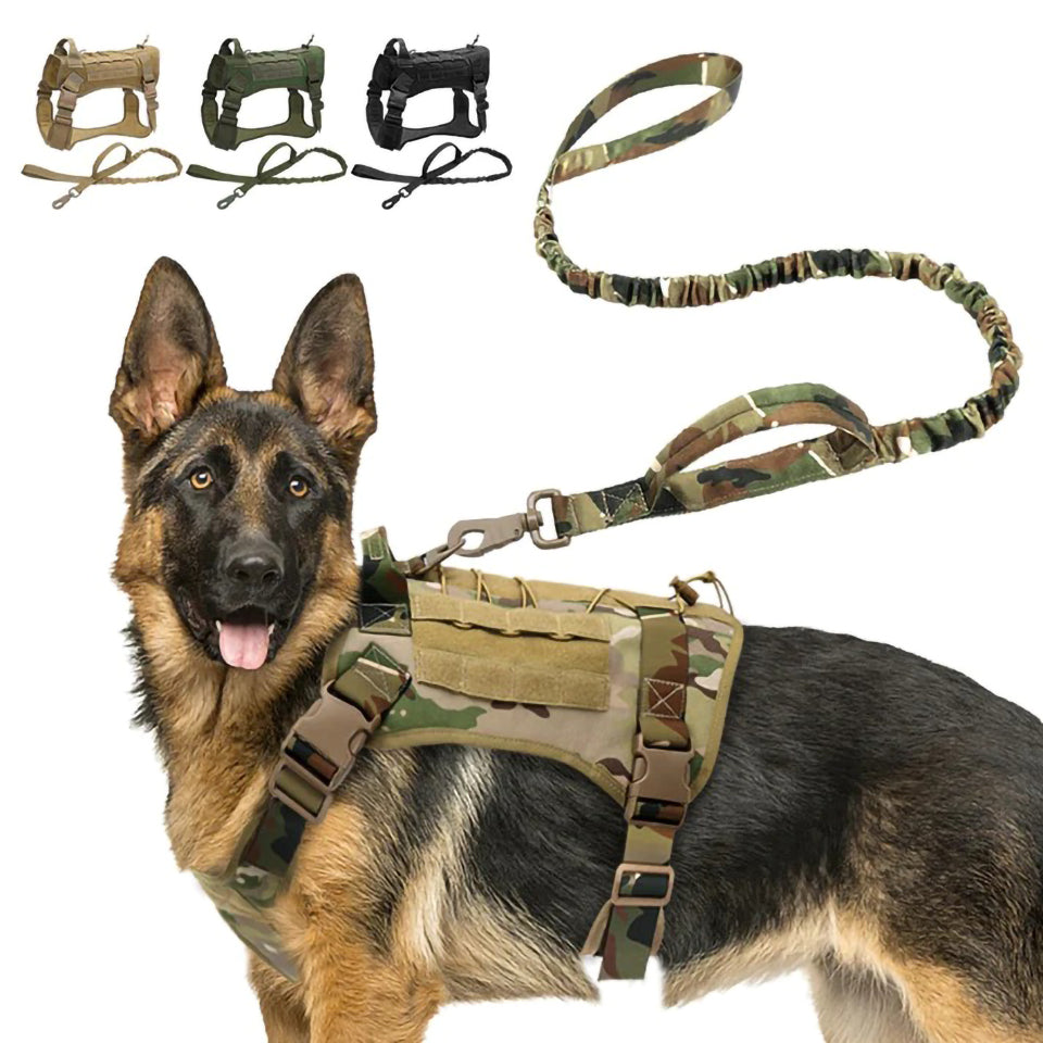 Köpek göğüs tasması kayış Set Tactical 39810022