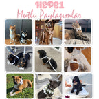 Köpek Boyun Tasması İsimli Beyaz Kadife Boyun Tasması 215859