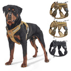 K9 Tasma Yansıtıcı Çöl Kamuflajı Göğüs Tasması 51398695