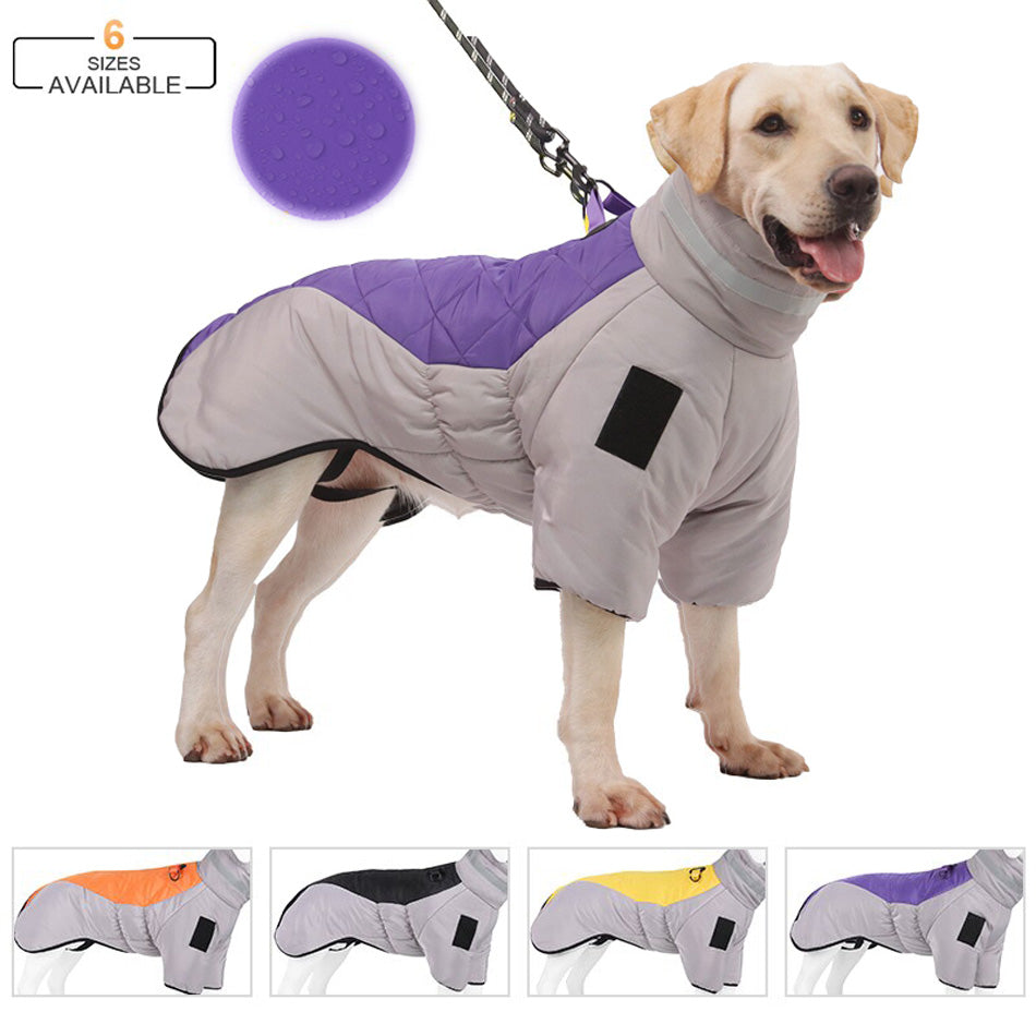 Köpek yağmurluk
