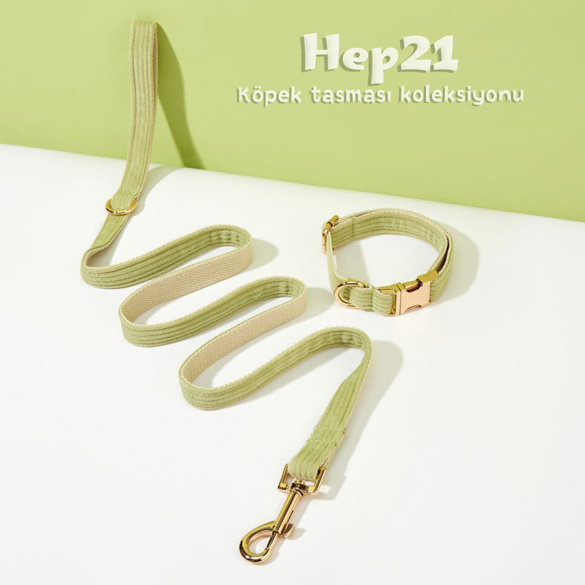 Köpek Boyun Tasması İsimli Avokado Yeşili Kadife 518473