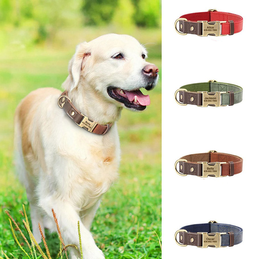 Köpek Tasması  İsimli Boyun Tasma 049141
