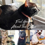 Kedi tasması Kadife isimli Zilli Kedi Tasma 015263