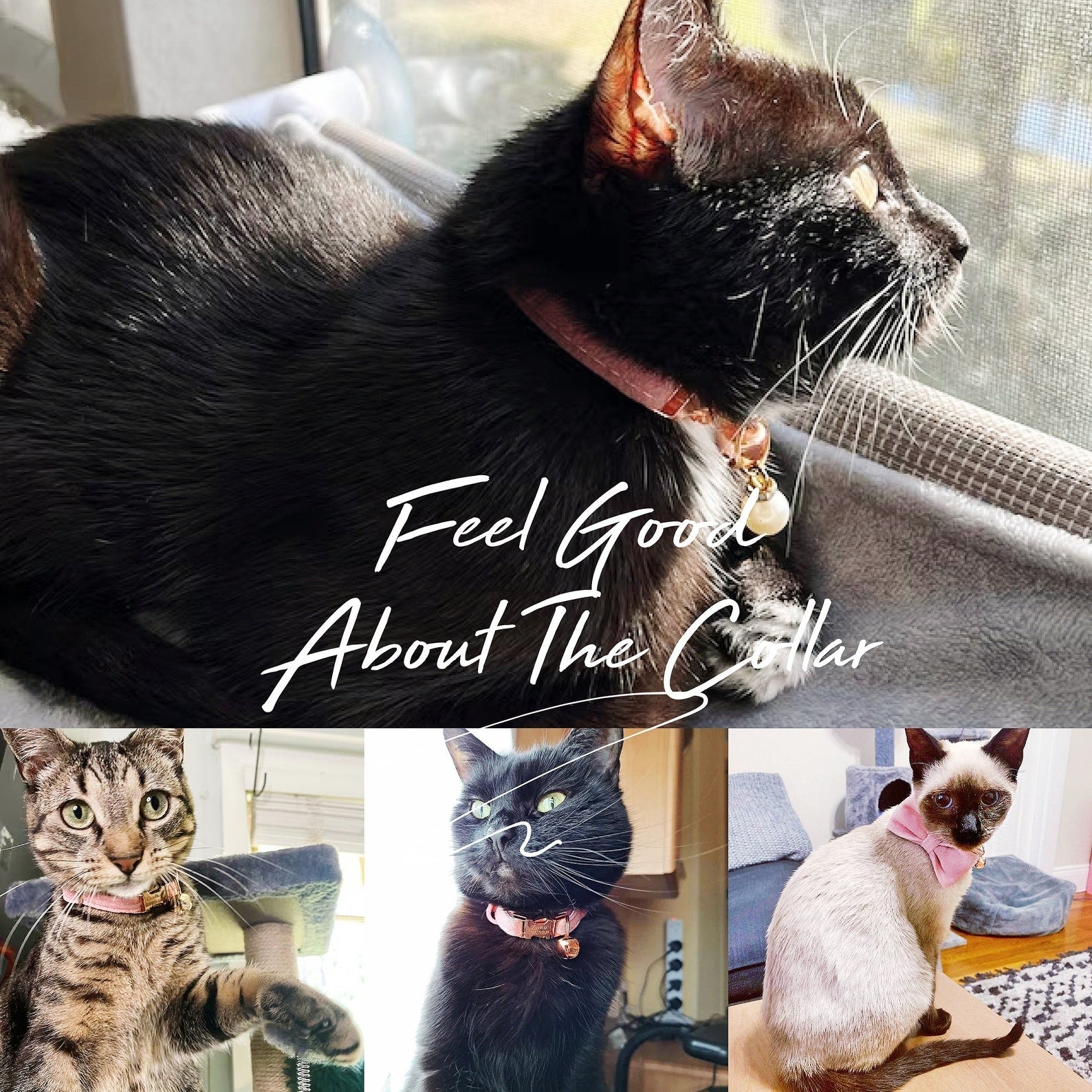 Kedi tasması Kadife isimli Zilli Kedi Tasma 015263