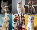 Kedi tasması Kadife İsimli Zilli 14534