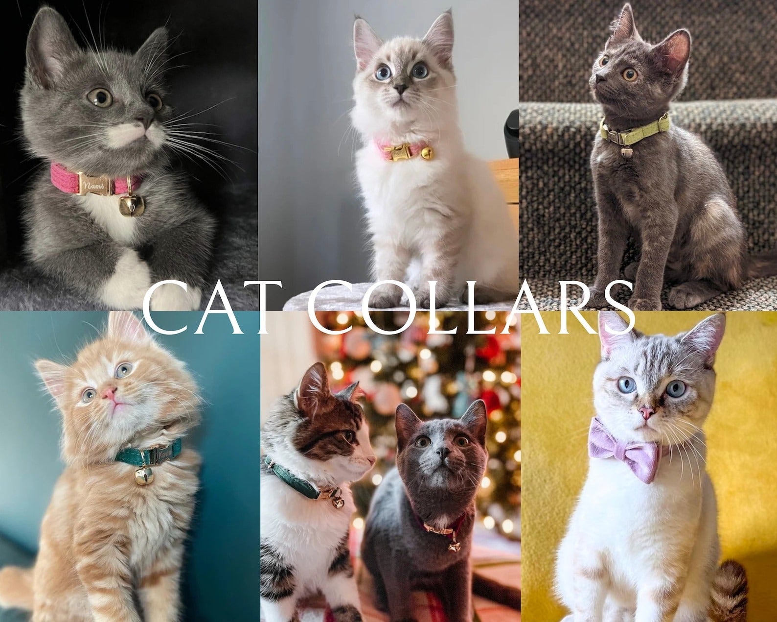 Kedi tasması Kadife İsimli Zilli 14534