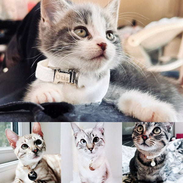 Kedi tasması isimli Zilli kedi tasma 745094