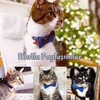 Kedi tasması Kadife isimli zilli kedi Tasma 515888