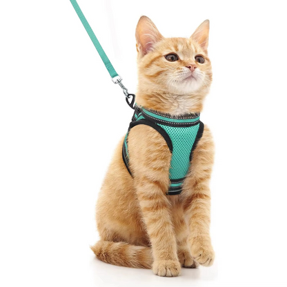 Kedi Göğüs Tasması Set 73040