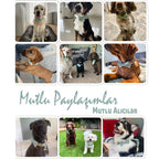 Köpek Boyun Tasması İsimli Nane Yeşil Kadife 404433