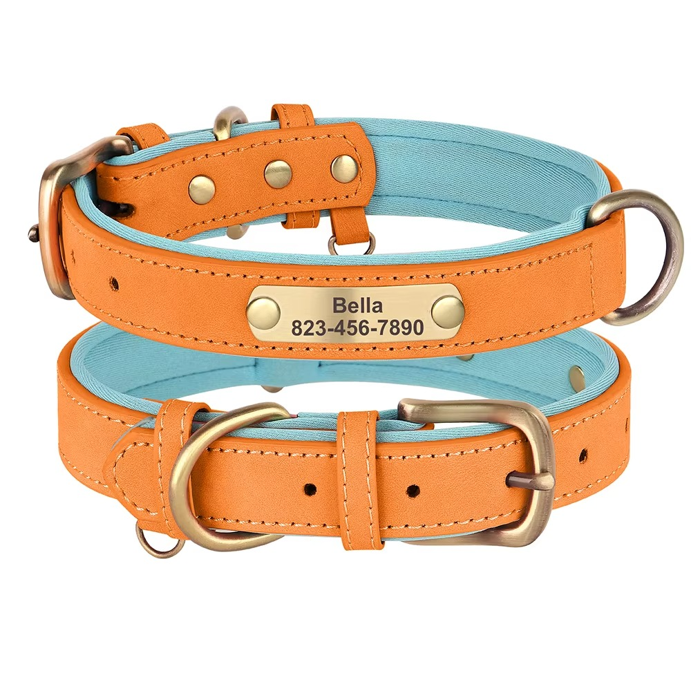 Köpek Tasması İsimli Deri Tasma 377912