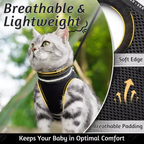 Kedi Göğüs Tasması Set 73040