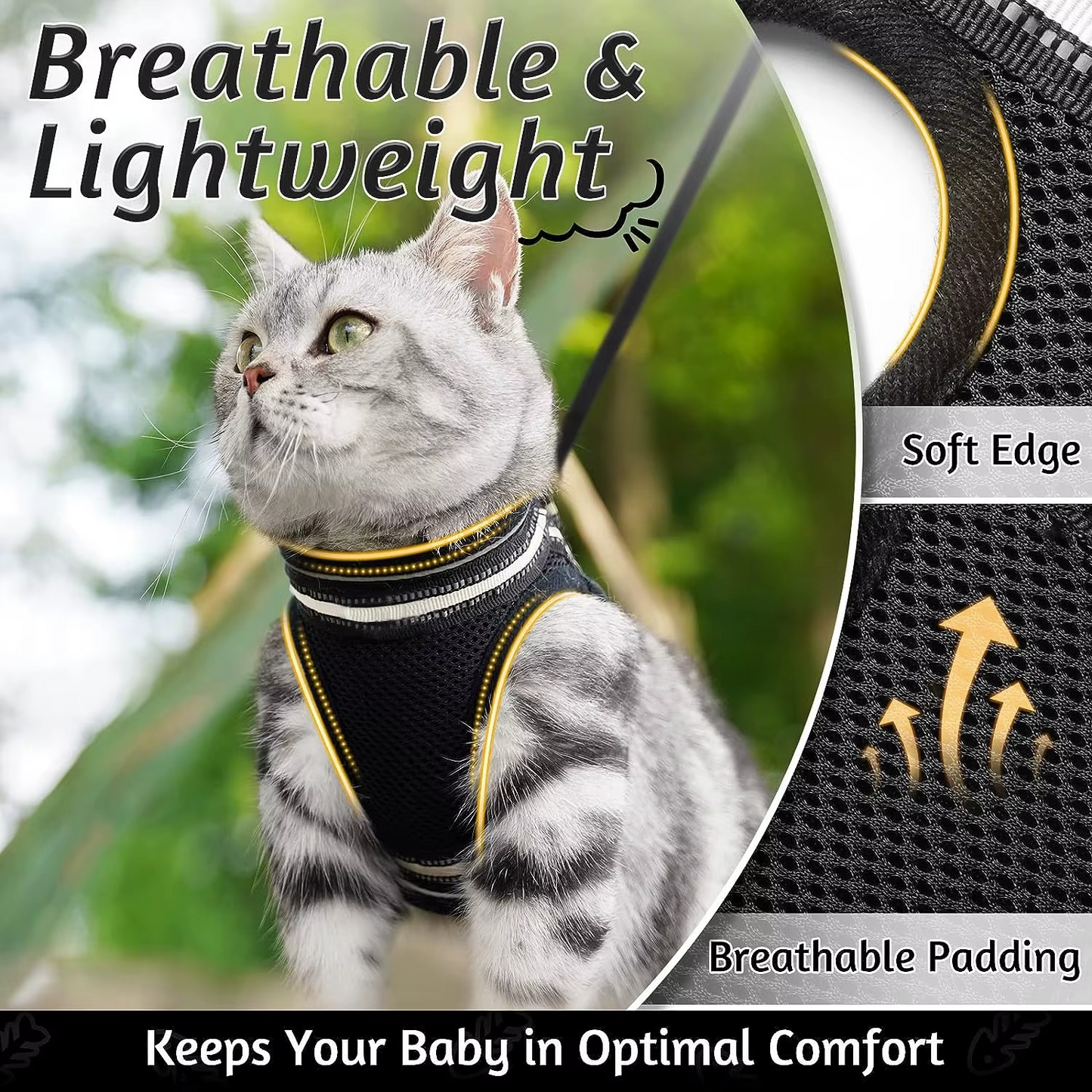 Kedi Göğüs Tasması Set 73040
