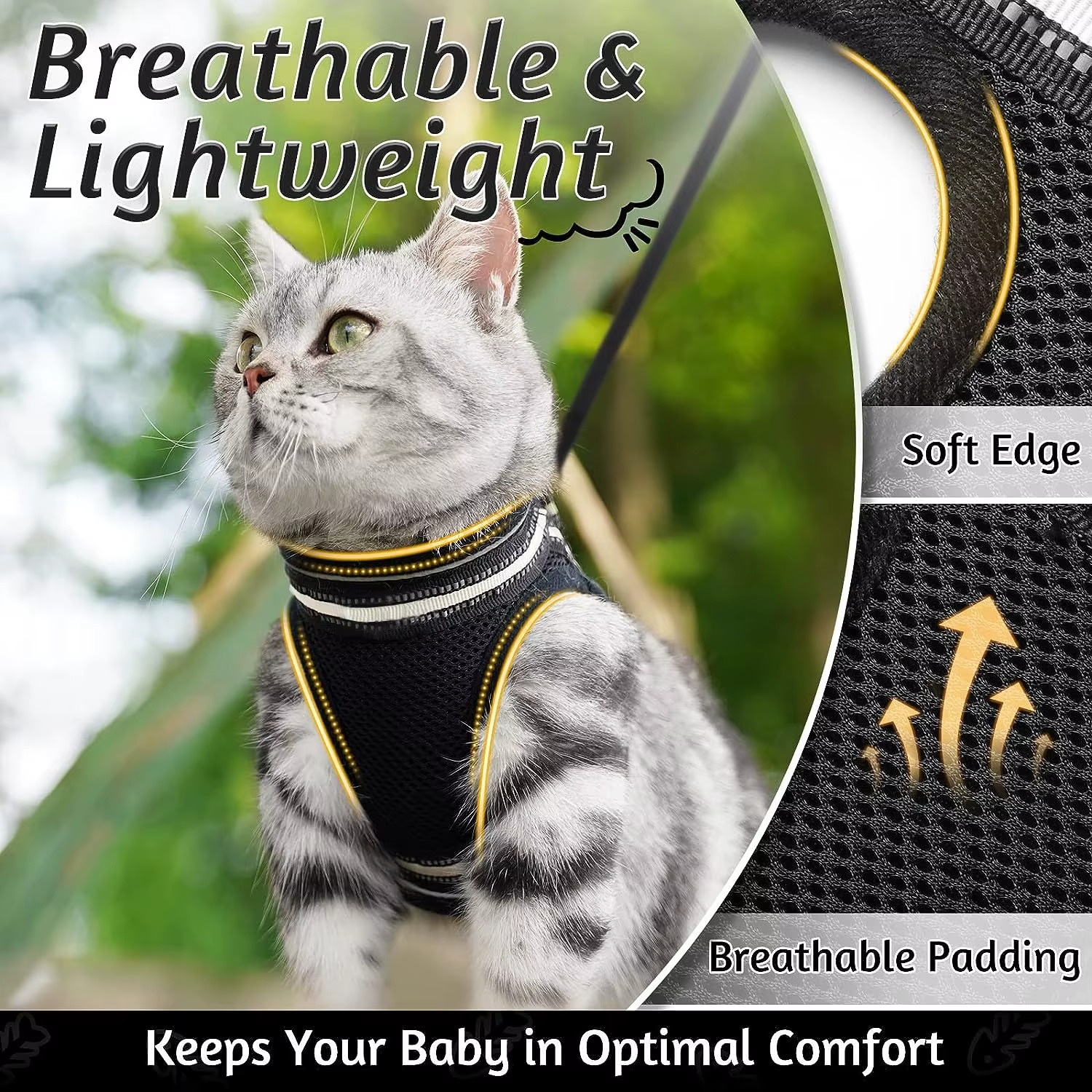 Kedi Göğüs Tasması Set 73040