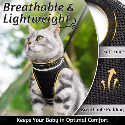 Kedi Göğüs Tasması Set 73040