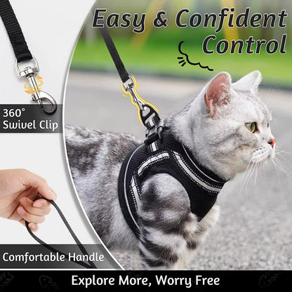 Kedi Göğüs Tasması Set 73040