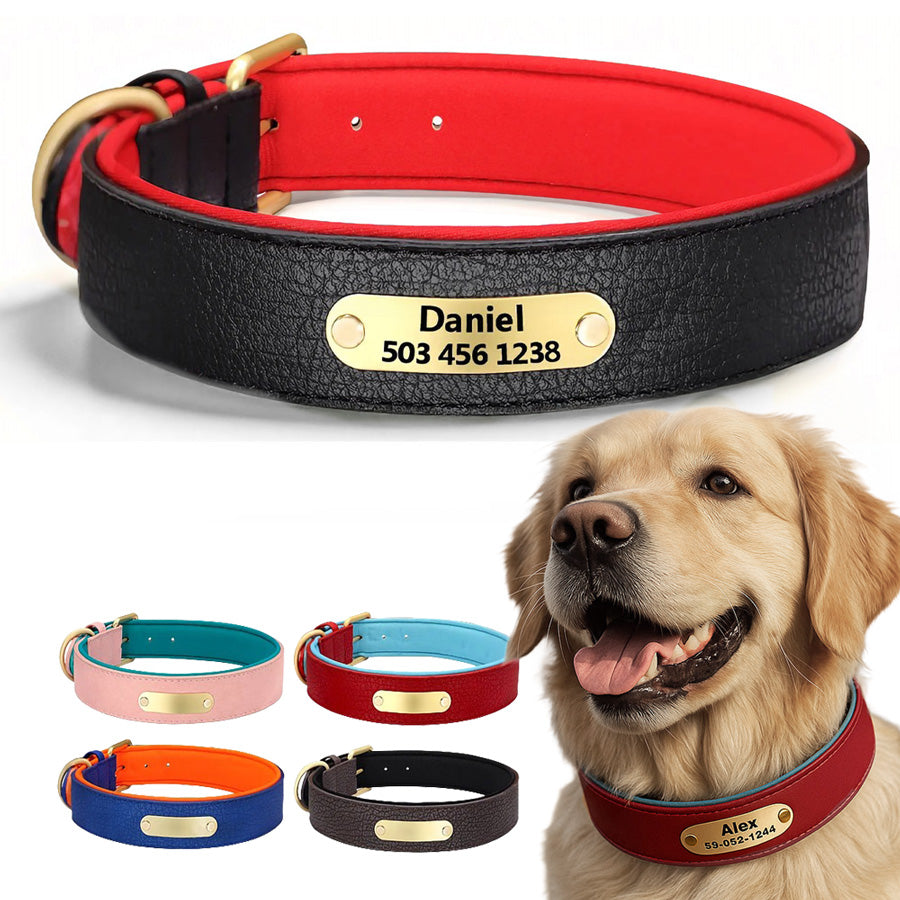 Köpek Tasması Yastıklı isimli Deri Tasma 806672