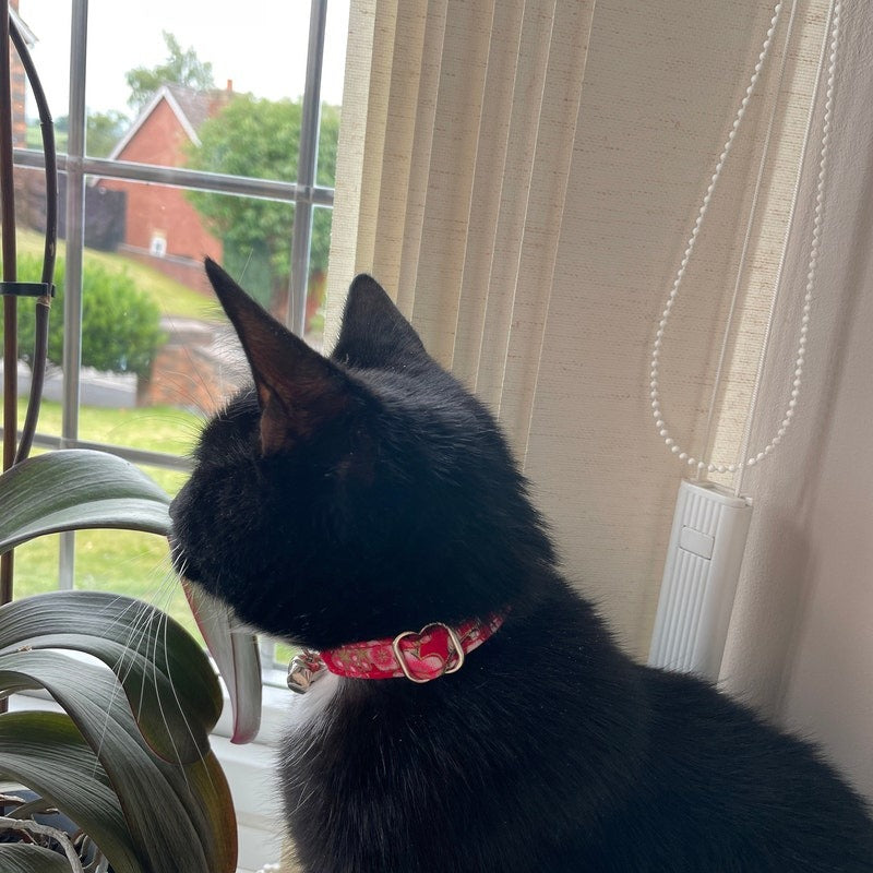 Kedi tasması isimli Zilli Kedi Tasma 60959
