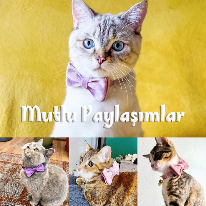 Kedi tasması Kadife İsimli Zilli 90596
