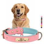 Köpek Tasması İsimli Deri Tasma 377912