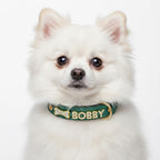 Köpek tasması Bling Charm İsimli Boyun Tasması 139294