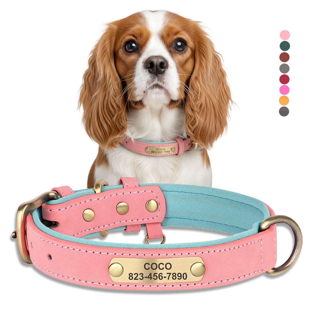 Köpek Tasması İsimli Deri Tasma 377912