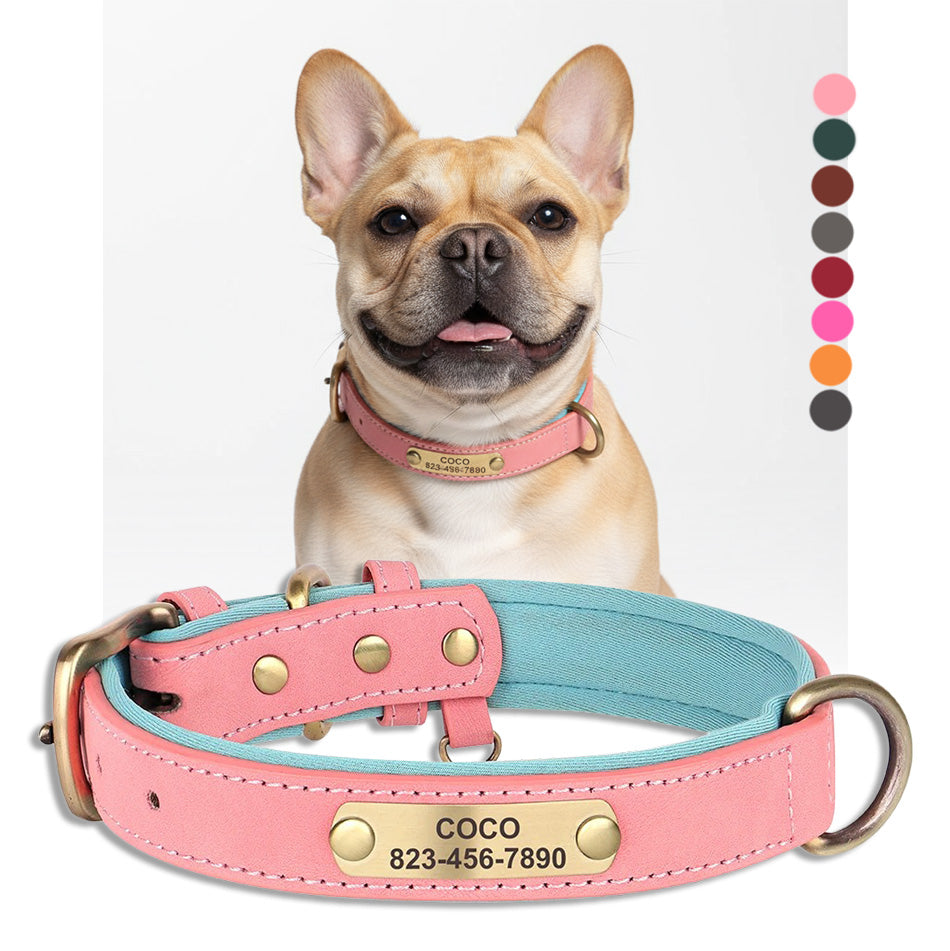Köpek Tasması İsimli Deri Tasma 377912